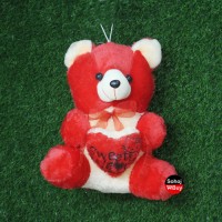sweet heart teddy for valentine day